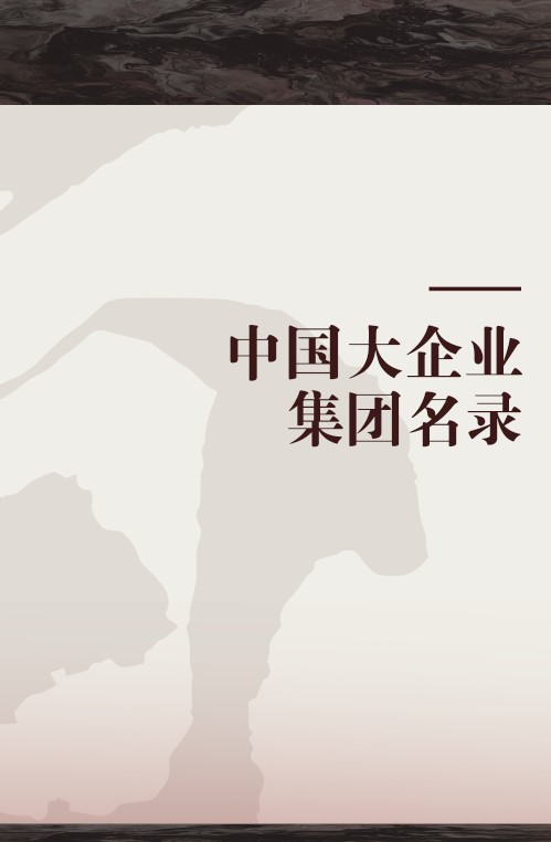 中国大企业集团名录