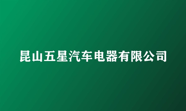 昆山五星汽车电器有限公司