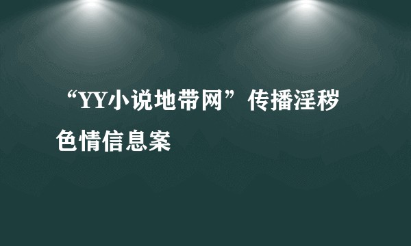 “YY小说地带网”传播淫秽色情信息案