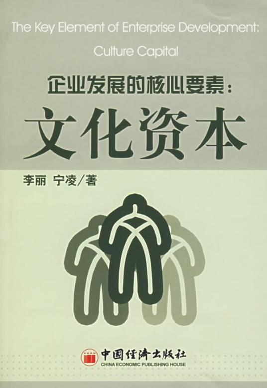 文化资本(由企业文化以及文化的物质载体所构成的资本)