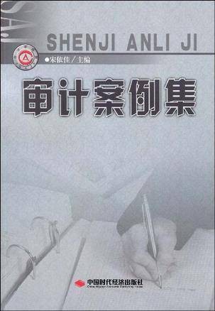 审计案例集