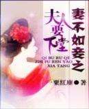 妻不如妾之夫人要下堂