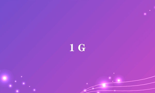 1 G