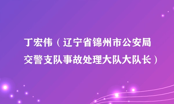 丁宏伟（辽宁省锦州市公安局交警支队事故处理大队大队长）