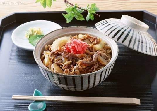 日式牛肉饭（日式速食食品）