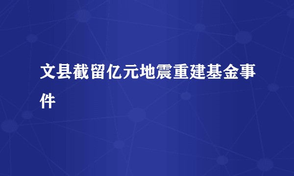 文县截留亿元地震重建基金事件