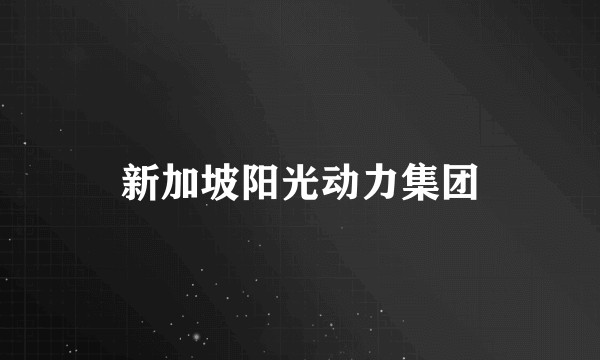 新加坡阳光动力集团
