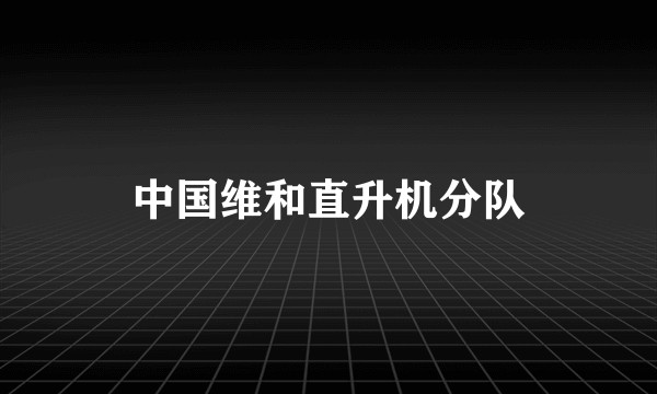 中国维和直升机分队
