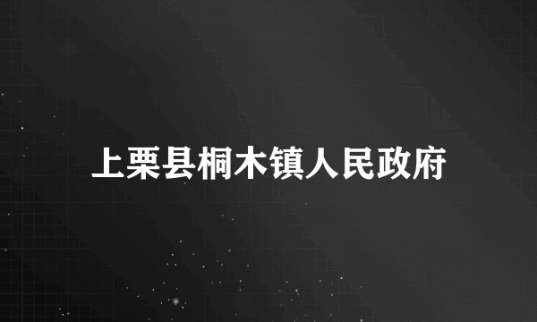 上栗县桐木镇人民政府