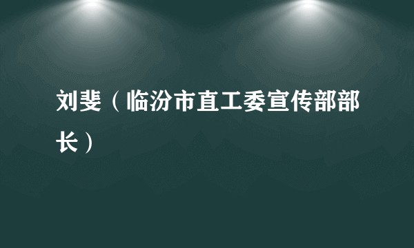 刘斐（临汾市直工委宣传部部长）