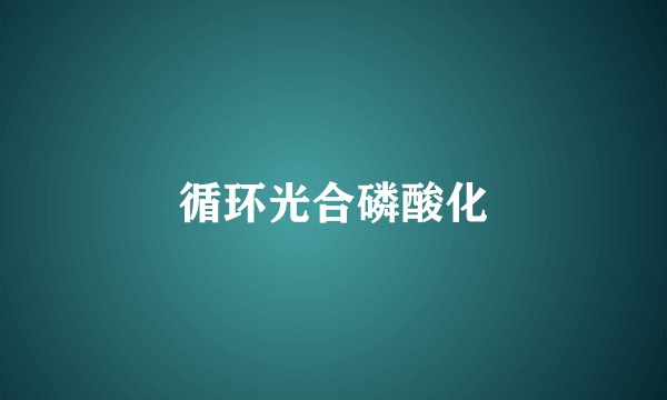 循环光合磷酸化