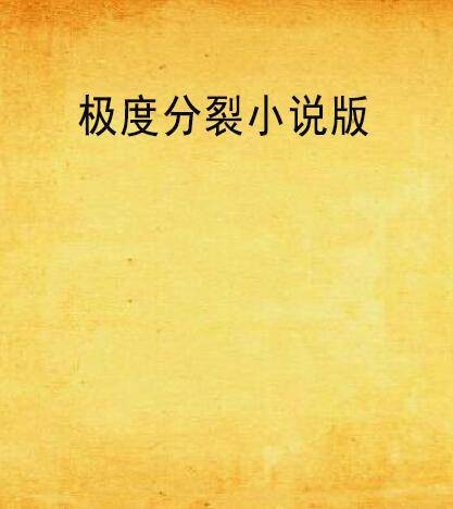 极度分裂小说版