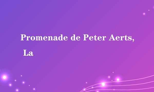 Promenade de Peter Aerts, La