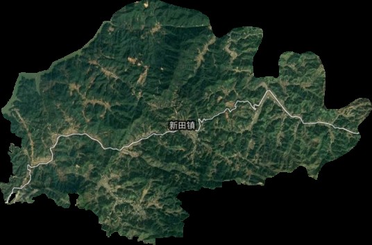 新田镇（广东省河源市龙川县下辖镇）