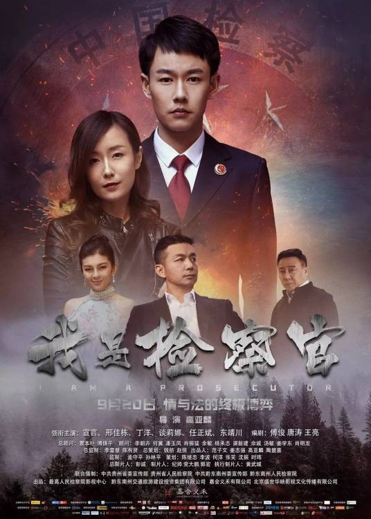 我是检察官(2018年高亚麟执导的电影)