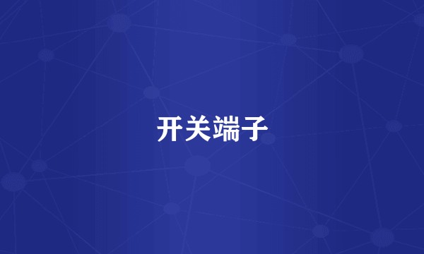 开关端子