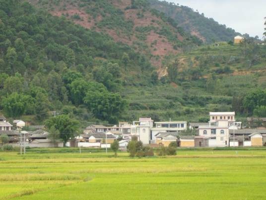 中村（云南省楚雄南华县五街镇中村村委会）