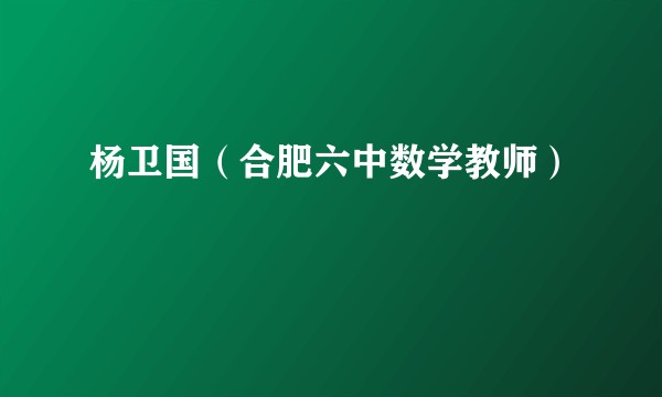 杨卫国（合肥六中数学教师）
