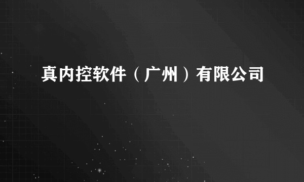 真内控软件（广州）有限公司