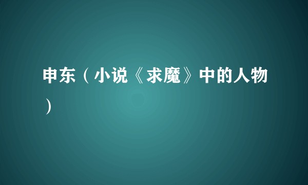 申东（小说《求魔》中的人物）