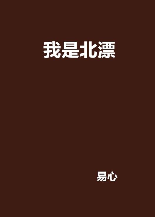 我是北漂（小说名称）