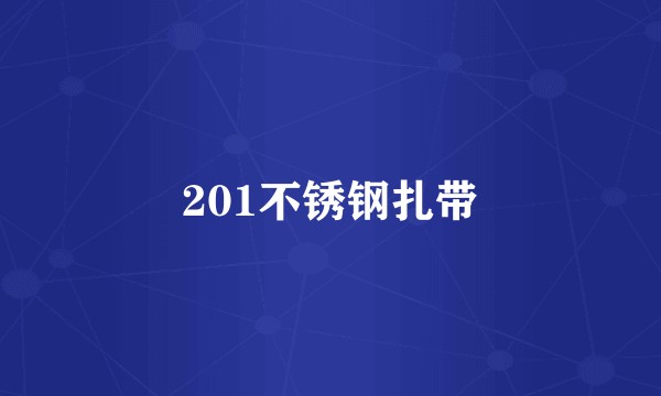 201不锈钢扎带