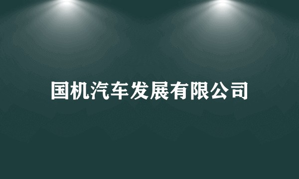 国机汽车发展有限公司