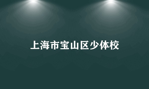 上海市宝山区少体校
