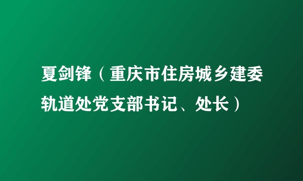 夏剑锋（重庆市住房城乡建委轨道处党支部书记、处长）