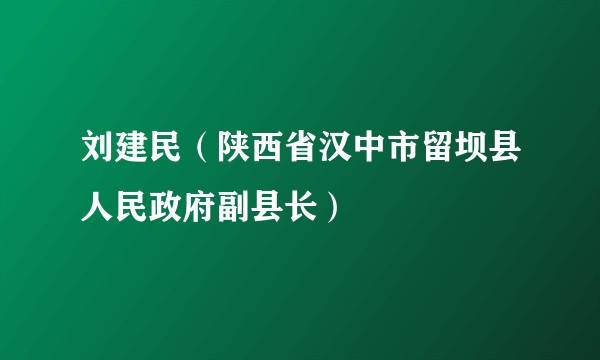 刘建民（陕西省汉中市留坝县人民政府副县长）