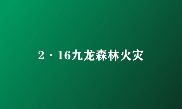 2·16九龙森林火灾