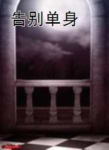 告别单身（小说）