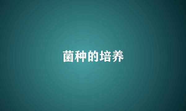 菌种的培养