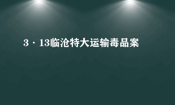3·13临沧特大运输毒品案