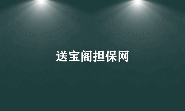 送宝阁担保网