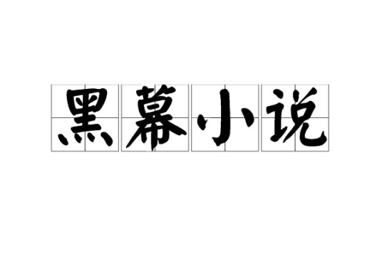 黑幕小说