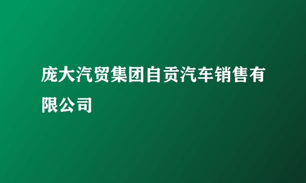庞大汽贸集团自贡汽车销售有限公司