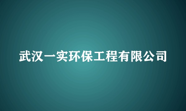 武汉一实环保工程有限公司