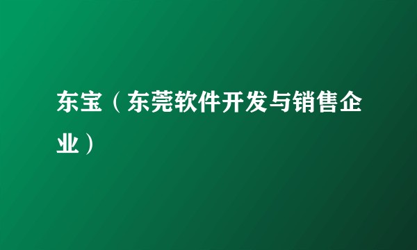 东宝（东莞软件开发与销售企业）