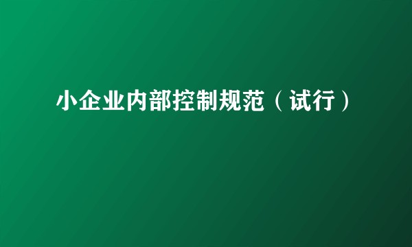 小企业内部控制规范（试行）