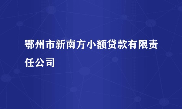 鄂州市新南方小额贷款有限责任公司
