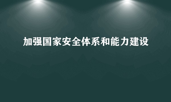 加强国家安全体系和能力建设