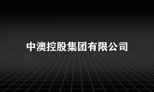 中澳控股集团有限公司