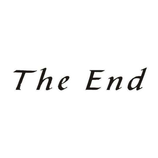 the end（张远光著小说）