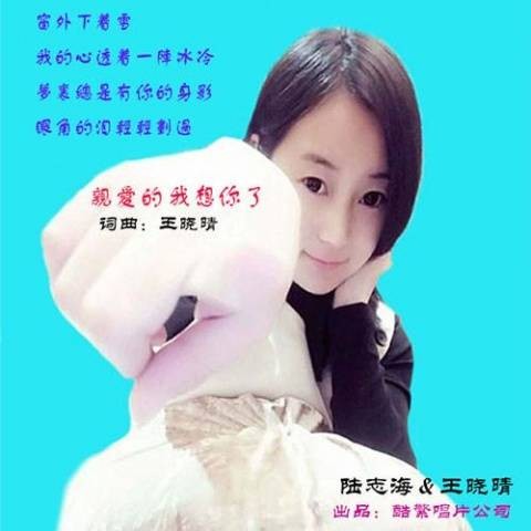 亲爱的我想你了（陆志海/王晓晴演唱歌曲）