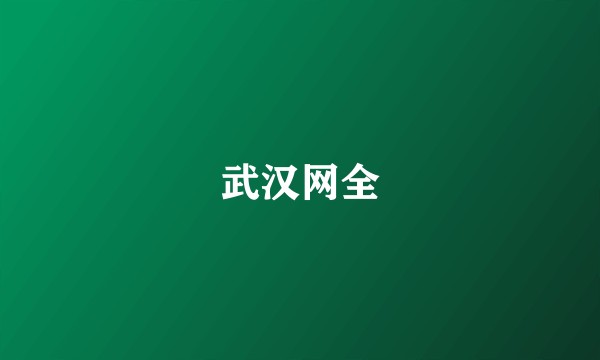 武汉网全