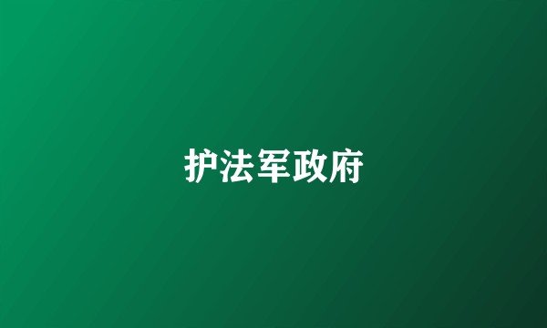 护法军政府