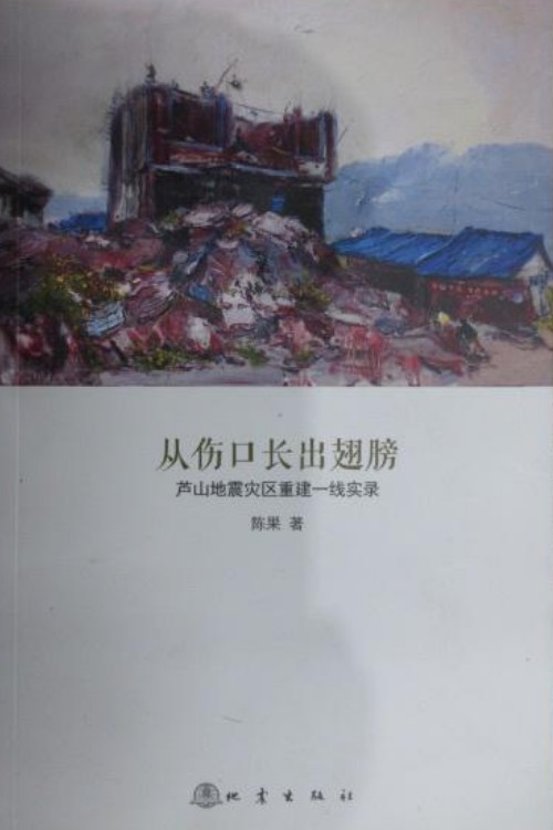 从伤口长出翅膀：芦山地震灾区重建一线实录