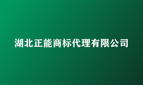 湖北正能商标代理有限公司