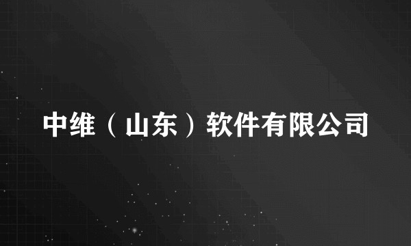 中维（山东）软件有限公司